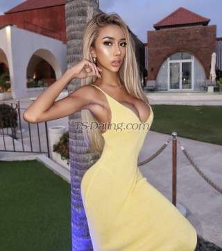 trans girl Babiegurly 6533048 trans girl Babiegurly 6533048