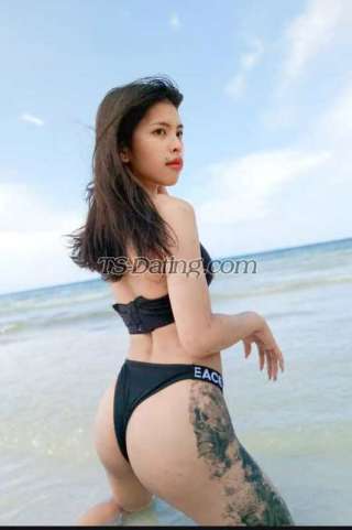 trans girl BabyAra 4969543 trans girl BabyAra 4969543