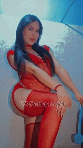 trans girl BabySofiave 0344255 trans girl BabySofiave 0344255