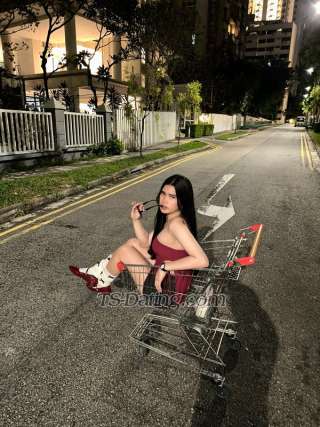 trans girl BabygirlCasie 9570654 trans girl BabygirlCasie 9570654