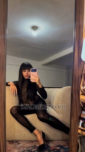 trans girl Balqis 7076233 trans girl Balqis 7076233