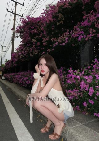 trans girl Bambie 7148490 trans girl Bambie 7148490