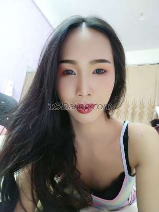 trans girl Bambie24 4699219 trans girl Bambie24 4699219