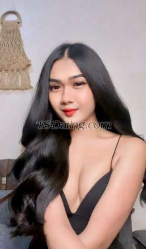 trans girl BarBitch 2351233 trans girl BarBitch 2351233