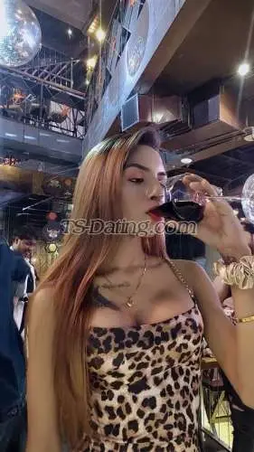 Shemale BarbieTS1 2155368 Shemale BarbieTS1 2155368