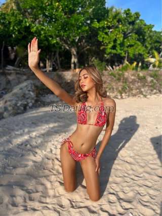 trans girl Beatricecatle 5478781 trans girl Beatricecatle 5478781