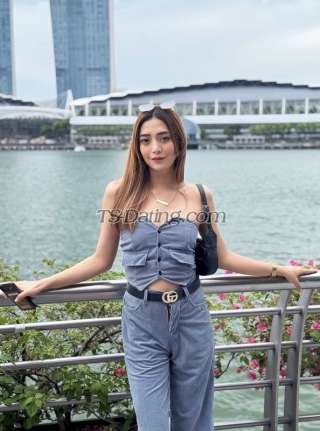 trans girl Beatricecatle 8558840 trans girl Beatricecatle 8558840