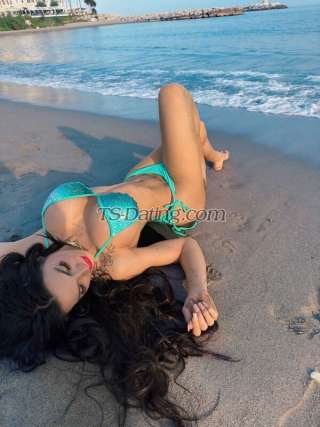 trans girl Bebastar 5284122 trans girl Bebastar 5284122