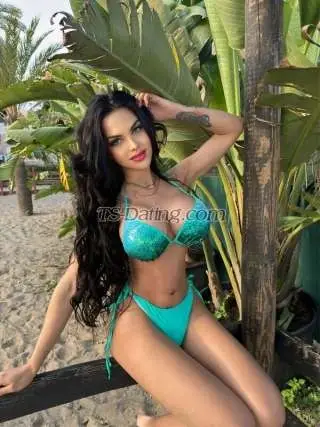 Shemale Bebastar 5284186 Shemale Bebastar 5284186