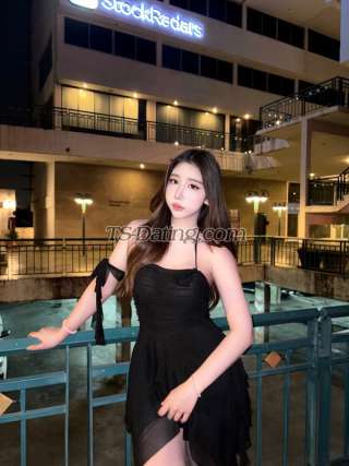 trans girl Bebelly 8556454 trans girl Bebelly 8556454