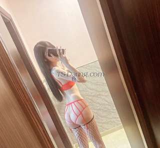 trans girl Beedxb97 1658301 trans girl Beedxb97 1658301