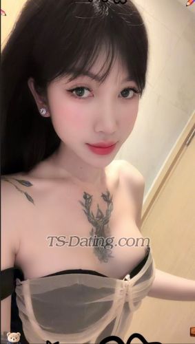 trans girl Beedxb97 4261899 trans girl Beedxb97 4261899
