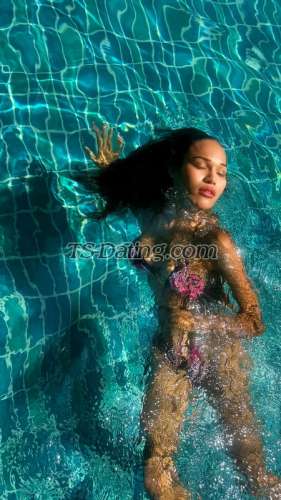 trans girl Beesofia 9011030 trans girl Beesofia 9011030