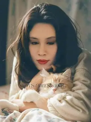 Shemale BeijingCDwei 0166708 Shemale BeijingCDwei 0166708