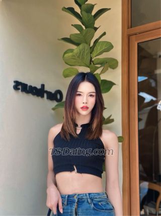 trans girl Bejen 3761622 trans girl Bejen 3761622