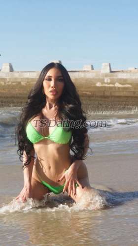 trans girl Belinda69 3779643 trans girl Belinda69 3779643