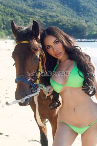 trans girl Belinda69 3779690 trans girl Belinda69 3779690