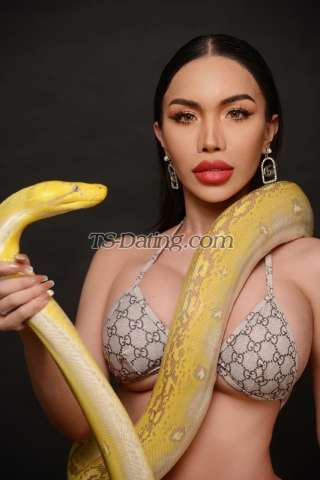 trans girl Belinda69 5188598 trans girl Belinda69 5188598