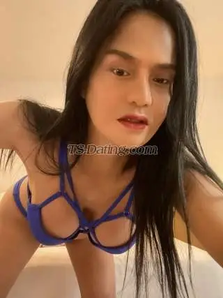 Shemale BellaAMores 0358553 Shemale BellaAMores 0358553