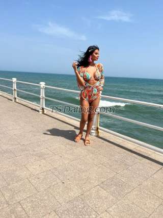 trans girl BellaDaniela 8617026 trans girl BellaDaniela 8617026