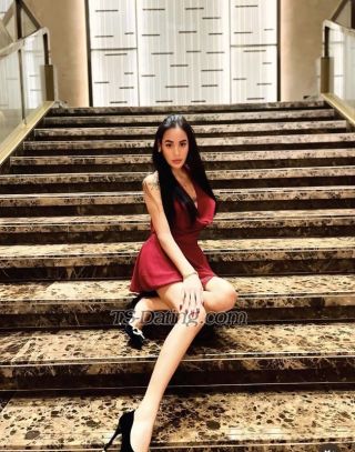 trans girl BellaTSpinay 6925613 trans girl BellaTSpinay 6925613