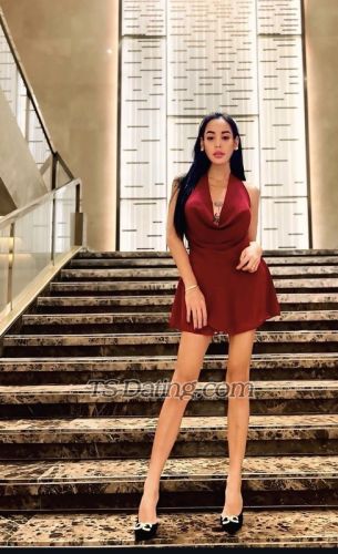 trans girl BellaTSpinay 6925660 trans girl BellaTSpinay 6925660