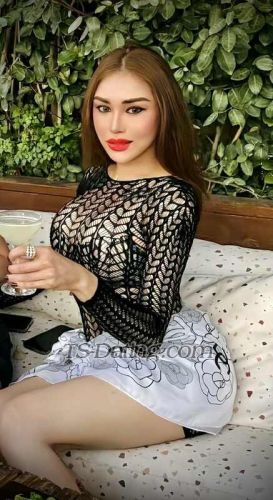 trans girl Belladianne 0447608 trans girl Belladianne 0447608