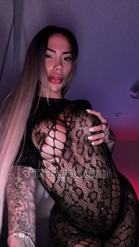 trans girl Bellaguimarae 7599102 trans girl Bellaguimarae 7599102