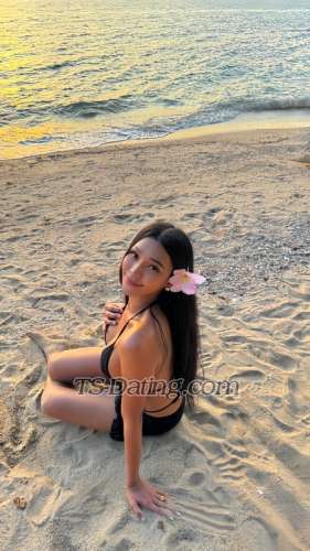 trans girl Bellsweet 2228853 trans girl Bellsweet 2228853