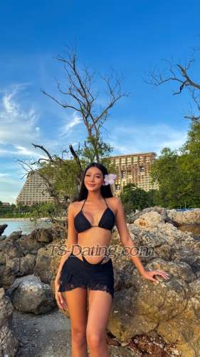 trans girl Bellsweet 2228975 trans girl Bellsweet 2228975