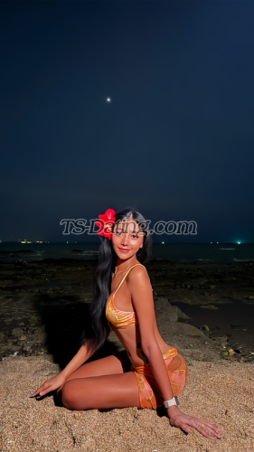 trans girl Bellsweet 9994779 trans girl Bellsweet 9994779