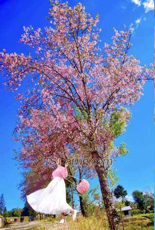 trans girl Berona 2384914