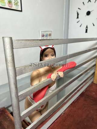 trans girl Bianca22 6233951 trans girl Bianca22 6233951