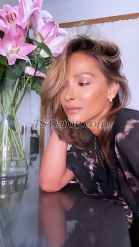 trans girl BiancaHills 2519262 trans girl BiancaHills 2519262