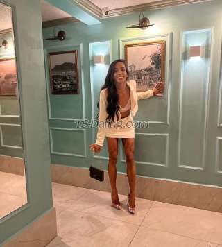 trans girl Bianquinha 2379174