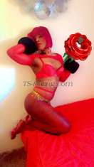 Bibie Stockholm Transex I am Beyoncé I live in Farsta Centrum Stockholm I am open for everything I have a very nice sex and ass you will not be disappointed❤️❤️❤️❤️