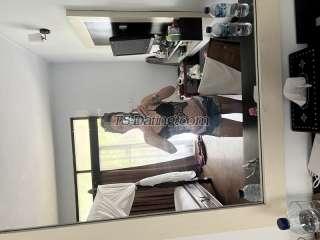 trans girl Blowalexa25 9963174 trans girl Blowalexa25 9963174