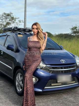 trans girl CumReloader 0716769