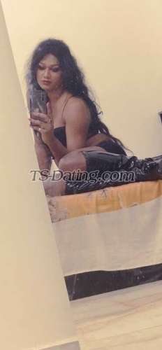 trans girl Bombshellbab 5628830 trans girl Bombshellbab 5628830