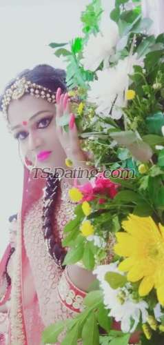 trans girl Bombshellbab 7805970 trans girl Bombshellbab 7805970