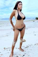 Bombshellxx Cebu Transex MAINTENANT À CEBU MACTAN PHILIPPINES, vous pouvez me joindre au +639177828762. Vous cherchez une rencontre plus réelle proche de ce que vous fantasmez ? Un fantasme que tout ce que vous vouliez vraiment, c'est être réel et avec quelqu'un... Quelqu'un qui sait ce dont vous avez besoin... exprimer votre désir le plus cher sans aucune hésitation ni bousculade... alors tout ce que vous avez à faire est d'écouter, réfléchir et décider. Im a ts que plus que la création d'un homme esthétique, c'est toujours un humain qui comprend ce que vous voulez. Plus que votre argent, c'est un service des deux sexes avec lequel je suis prêt à partager, rien à perdre puisque tout ce qui m'importe, c'est votre satisfaction totale et votre garantie de plaisir... Aucune attitude, juste s'amuser... je sais que vous cherchez et avez essayé mais rappelez-vous toujours que l'expérience est le meilleur professeur.