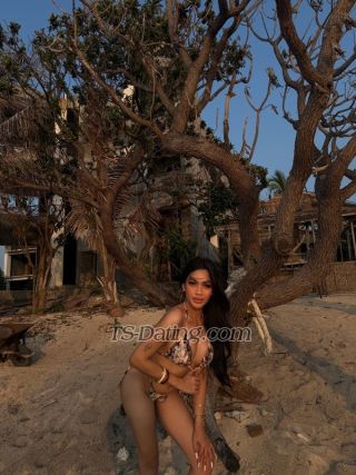 trans girl BriannaMolly 5286975 trans girl BriannaMolly 5286975