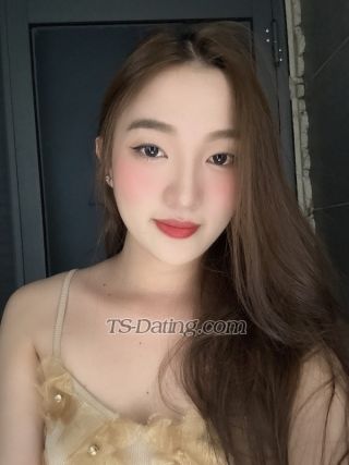 trans girl Brulee 4594929