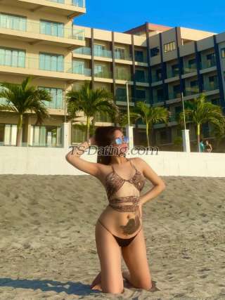 trans girl BubblyAss 6089899 trans girl BubblyAss 6089899