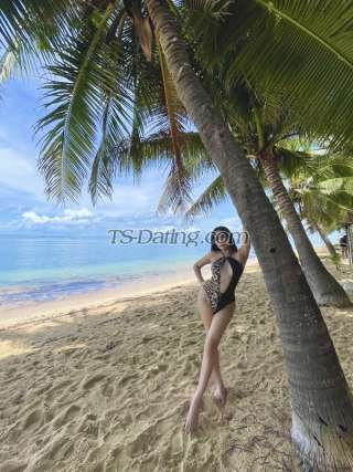 trans girl BubblyAss 6089960 trans girl BubblyAss 6089960