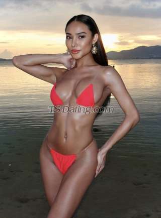 trans girl babybee 0813838 trans girl babybee 0813838