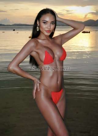 trans girl babybee 0813868 trans girl babybee 0813868