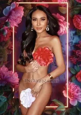 Shemale babybee 6075126 Shemale babybee 6075126