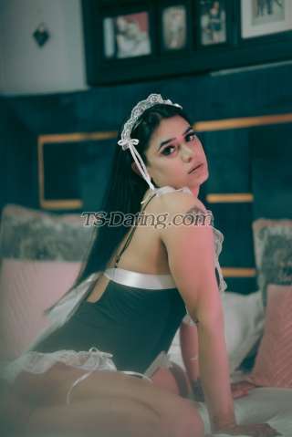 trans girl barkhahot10 3880643 trans girl barkhahot10 3880643