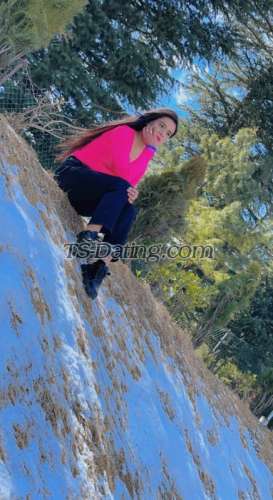 trans girl barkhahot10 8644151 trans girl barkhahot10 8644151